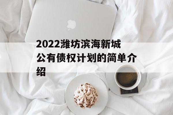 2022潍坊滨海新城公有债权计划的简单介绍