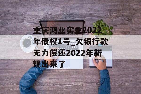 重庆鸿业实业2022年债权1号_欠银行款无力偿还2022年新规出来了