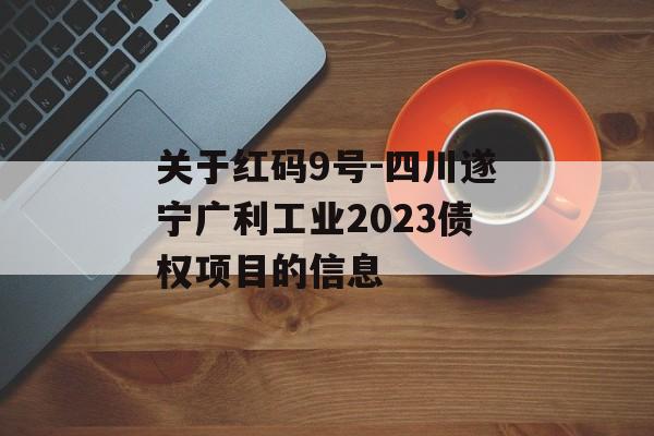 关于红码9号-四川遂宁广利工业2023债权项目的信息