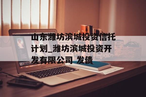 山东潍坊滨城投资信托计划_潍坊滨城投资开发有限公司 发债