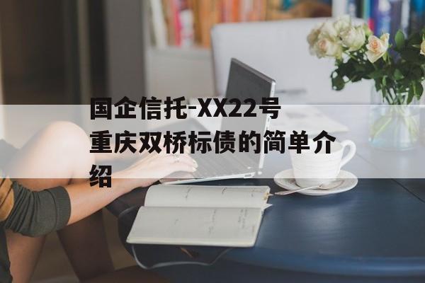 国企信托-XX22号重庆双桥标债的简单介绍