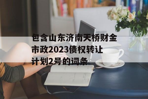 包含山东济南天桥财金市政2023债权转让计划2号的词条