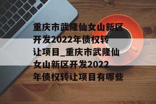 重庆市武隆仙女山新区开发2022年债权转让项目_重庆市武隆仙女山新区开发2022年债权转让项目有哪些