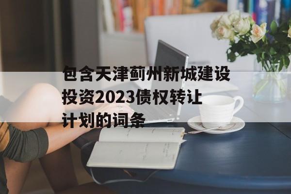 包含天津蓟州新城建设投资2023债权转让计划的词条