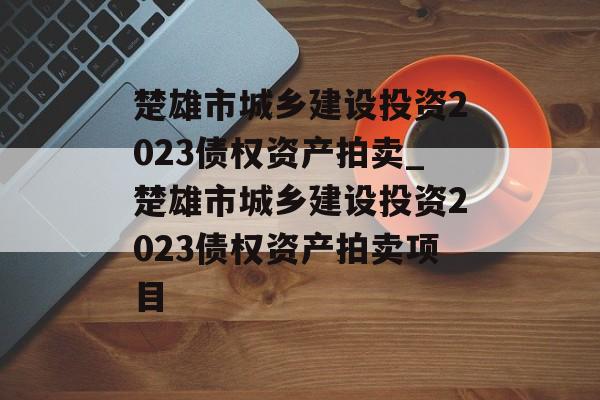 楚雄市城乡建设投资2023债权资产拍卖_楚雄市城乡建设投资2023债权资产拍卖项目