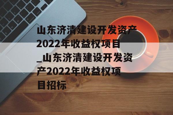 山东济清建设开发资产2022年收益权项目_山东济清建设开发资产2022年收益权项目招标