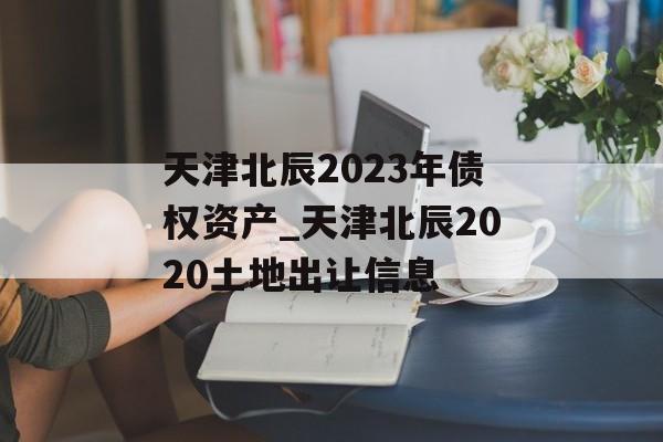 天津北辰2023年债权资产_天津北辰2020土地出让信息