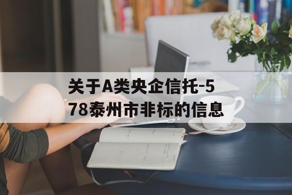 关于A类央企信托-578泰州市非标的信息