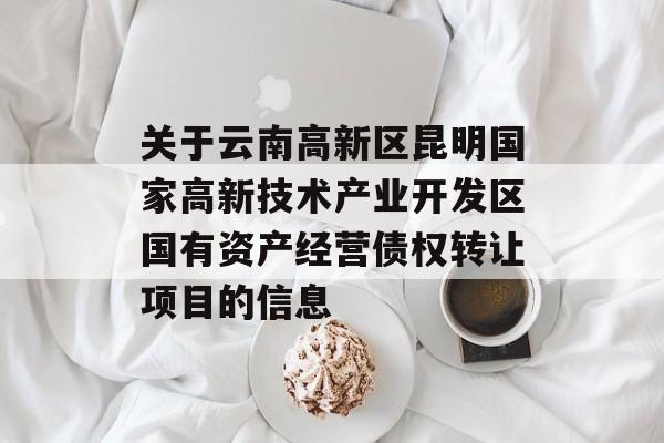 关于云南高新区昆明国家高新技术产业开发区国有资产经营债权转让项目的信息