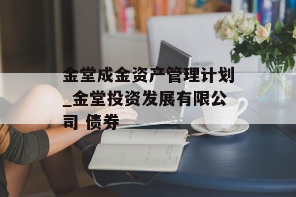 金堂成金资产管理计划_金堂投资发展有限公司 债券