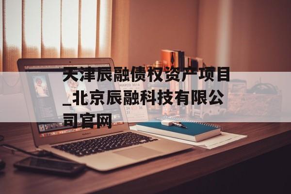 天津辰融债权资产项目_北京辰融科技有限公司官网