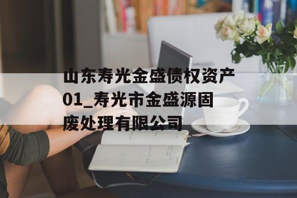 山东寿光金盛债权资产01_寿光市金盛源固废处理有限公司