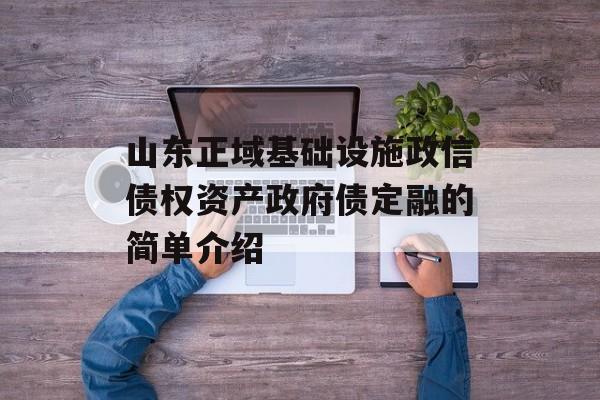 山东正域基础设施政信债权资产政府债定融的简单介绍