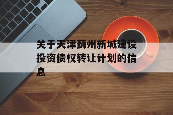 关于天津蓟州新城建设投资债权转让计划的信息