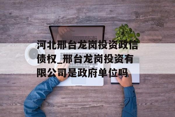 河北邢台龙岗投资政信债权_邢台龙岗投资有限公司是政府单位吗