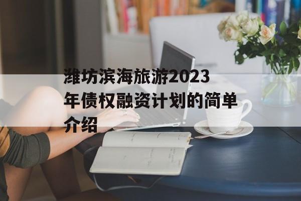 潍坊滨海旅游2023年债权融资计划的简单介绍