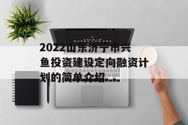 2022山东济宁市兴鱼投资建设定向融资计划的简单介绍