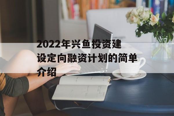 2022年兴鱼投资建设定向融资计划的简单介绍