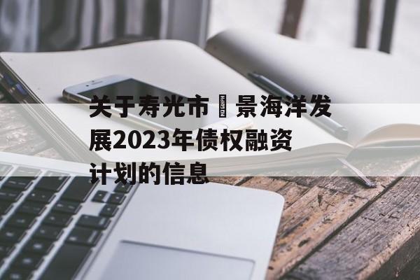 关于寿光市昇景海洋发展2023年债权融资计划的信息