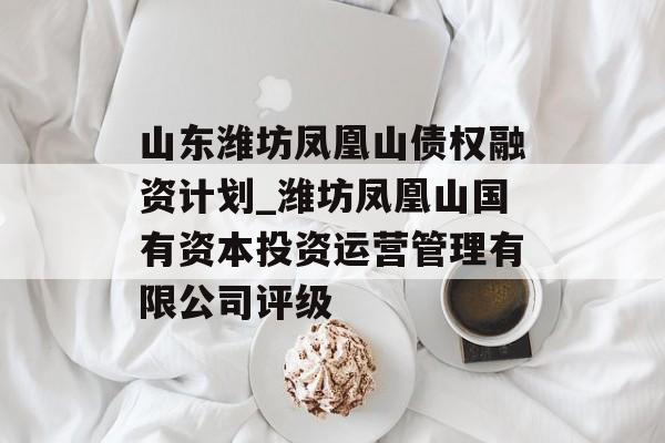 山东潍坊凤凰山债权融资计划_潍坊凤凰山国有资本投资运营管理有限公司评级