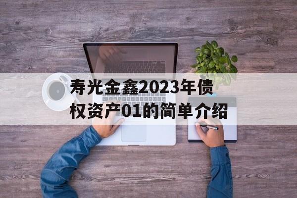 寿光金鑫2023年债权资产01的简单介绍