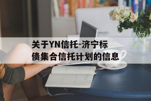 关于YN信托-济宁标债集合信托计划的信息