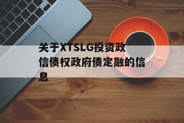 关于XTSLG投资政信债权政府债定融的信息