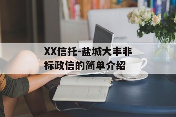 XX信托-盐城大丰非标政信的简单介绍