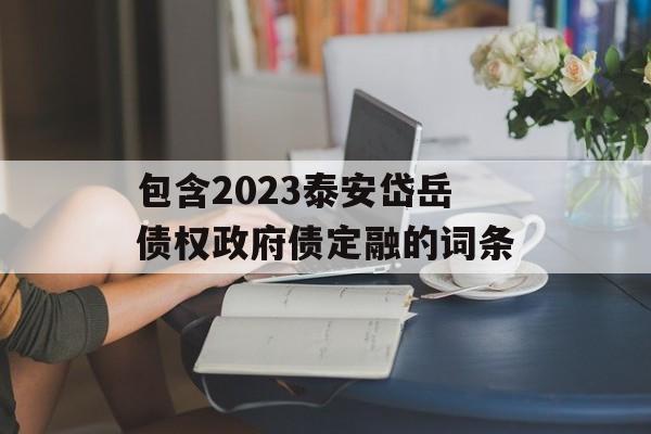 包含2023泰安岱岳债权政府债定融的词条