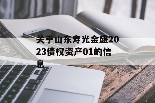 关于山东寿光金盛2023债权资产01的信息