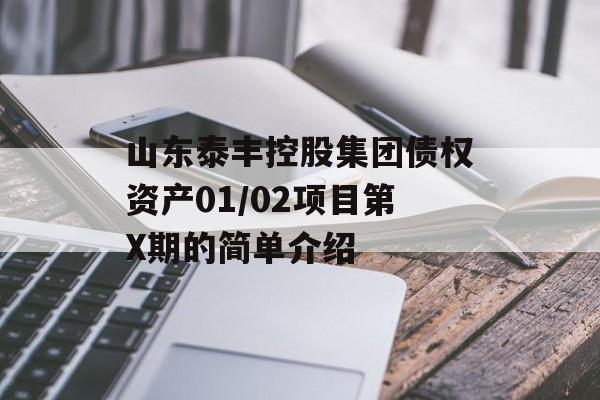 山东泰丰控股集团债权资产01/02项目第X期的简单介绍