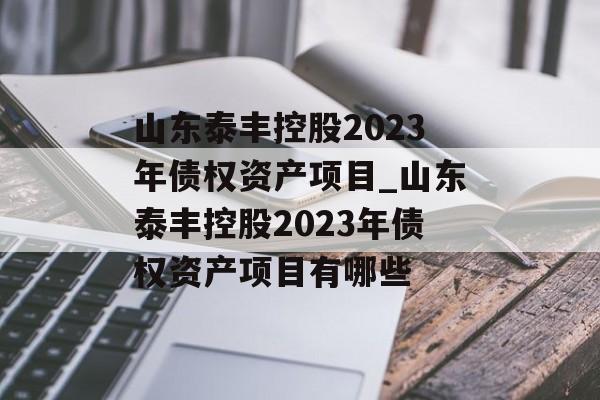 山东泰丰控股2023年债权资产项目_山东泰丰控股2023年债权资产项目有哪些