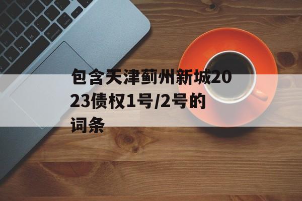 包含天津蓟州新城2023债权1号/2号的词条