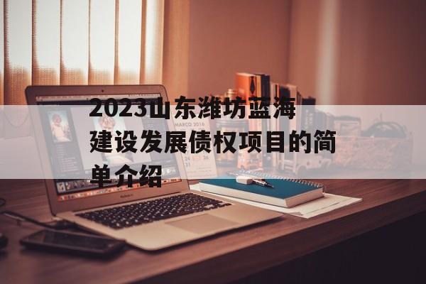 2023山东潍坊蓝海建设发展债权项目的简单介绍