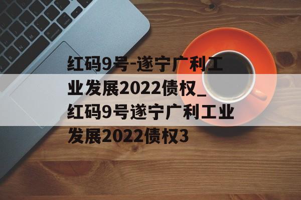 红码9号-遂宁广利工业发展2022债权_红码9号遂宁广利工业发展2022债权3