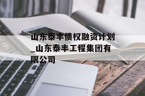 山东泰丰债权融资计划_山东泰丰工程集团有限公司