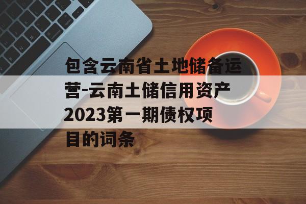 包含云南省土地储备运营-云南土储信用资产2023第一期债权项目的词条