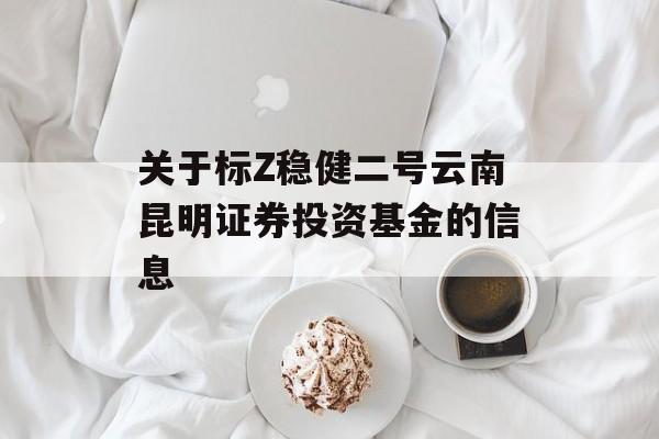 关于标Z稳健二号云南昆明证券投资基金的信息