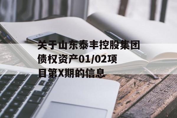 关于山东泰丰控股集团债权资产01/02项目第X期的信息