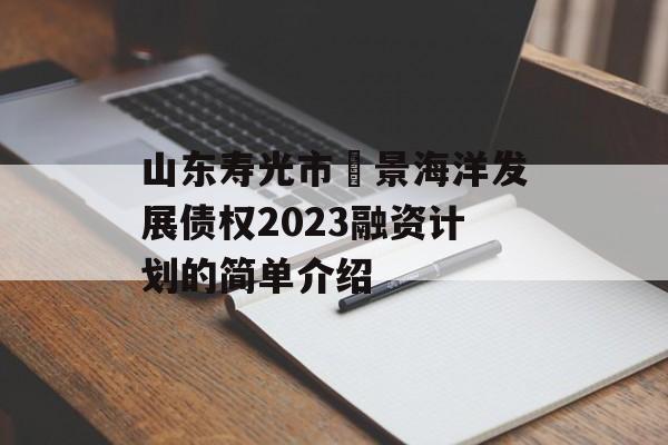 山东寿光市昇景海洋发展债权2023融资计划的简单介绍