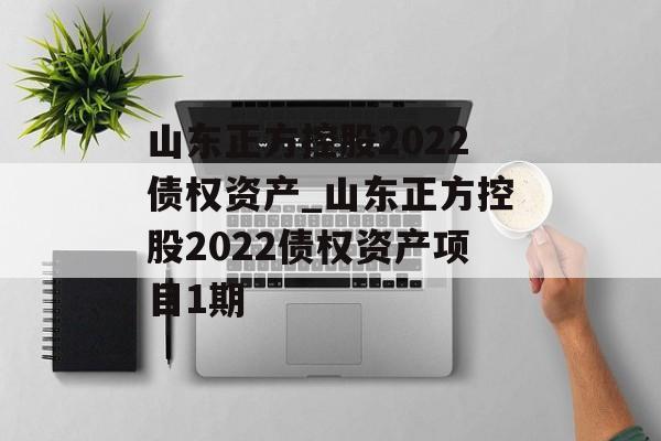 山东正方控股2022债权资产_山东正方控股2022债权资产项目1期