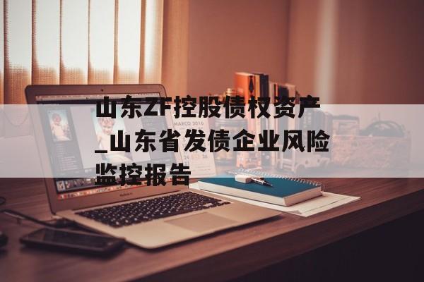 山东ZF控股债权资产_山东省发债企业风险监控报告