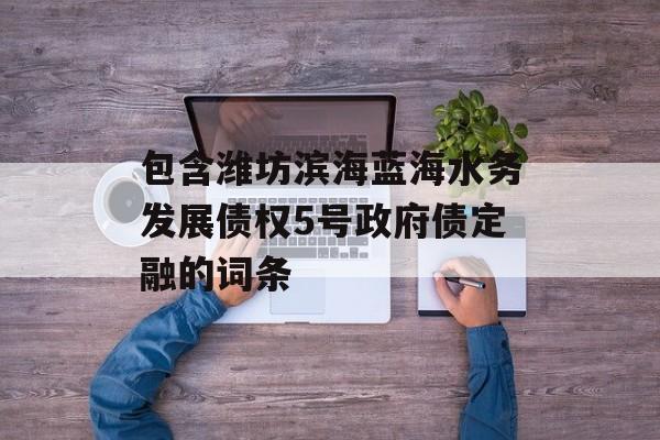 包含潍坊滨海蓝海水务发展债权5号政府债定融的词条