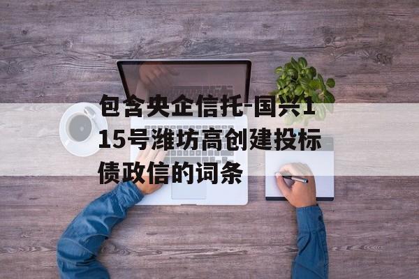 包含央企信托-国兴115号潍坊高创建投标债政信的词条