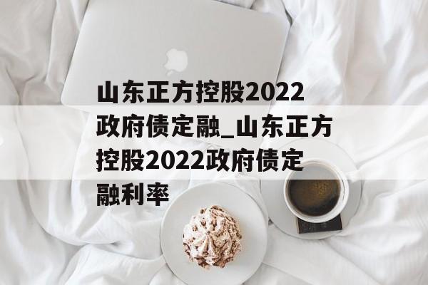 山东正方控股2022政府债定融_山东正方控股2022政府债定融利率