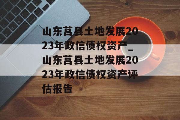 山东莒县土地发展2023年政信债权资产_山东莒县土地发展2023年政信债权资产评估报告