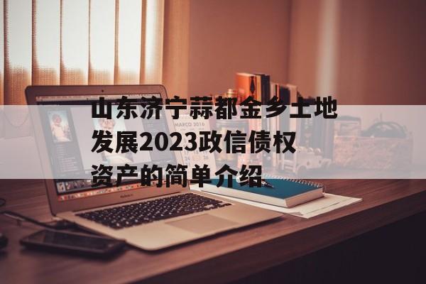 山东济宁蒜都金乡土地发展2023政信债权资产的简单介绍