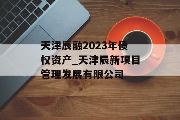 天津辰融2023年债权资产_天津辰新项目管理发展有限公司