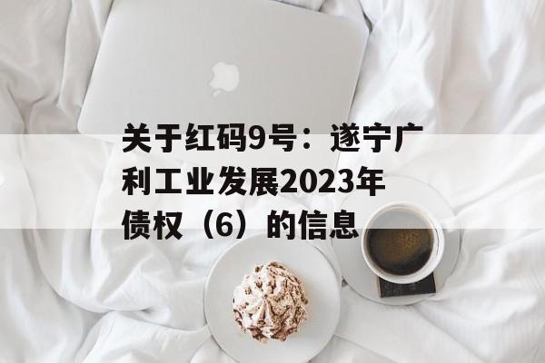 关于红码9号：遂宁广利工业发展2023年债权（6）的信息