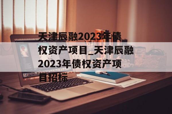 天津辰融2023年债权资产项目_天津辰融2023年债权资产项目招标